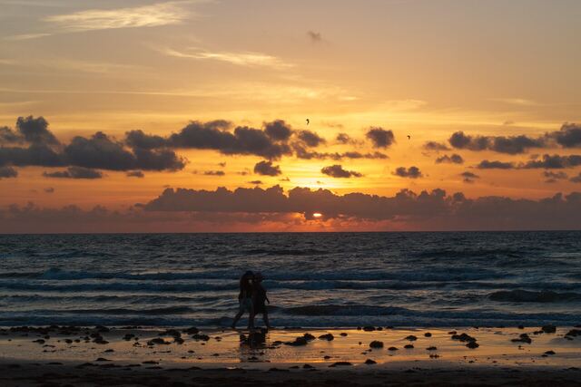 Sun deck with Adirondack chairs at Athena Ares Seaside Estate, South Padre Island